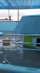 Crianças são tiradas às pressas de creche inundada por temporal em Itapema; VÍDEO