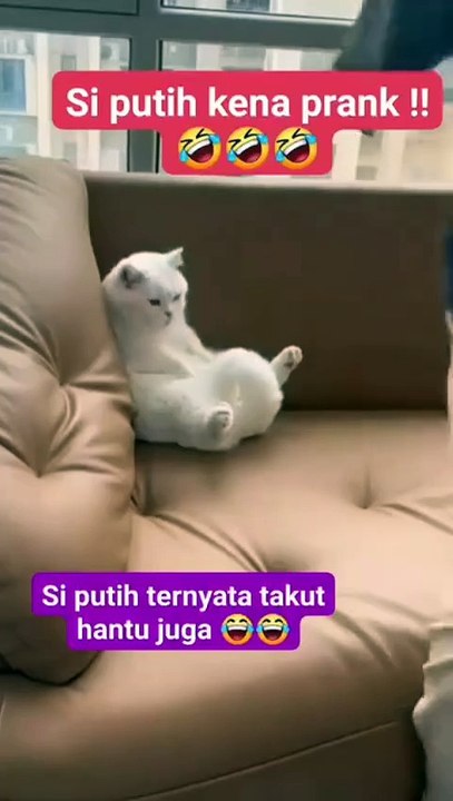 Was ist das...Geist...lauf schnell...