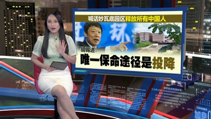 泰缅边境电信诈骗园区难以根除：有钱才是王道 💰