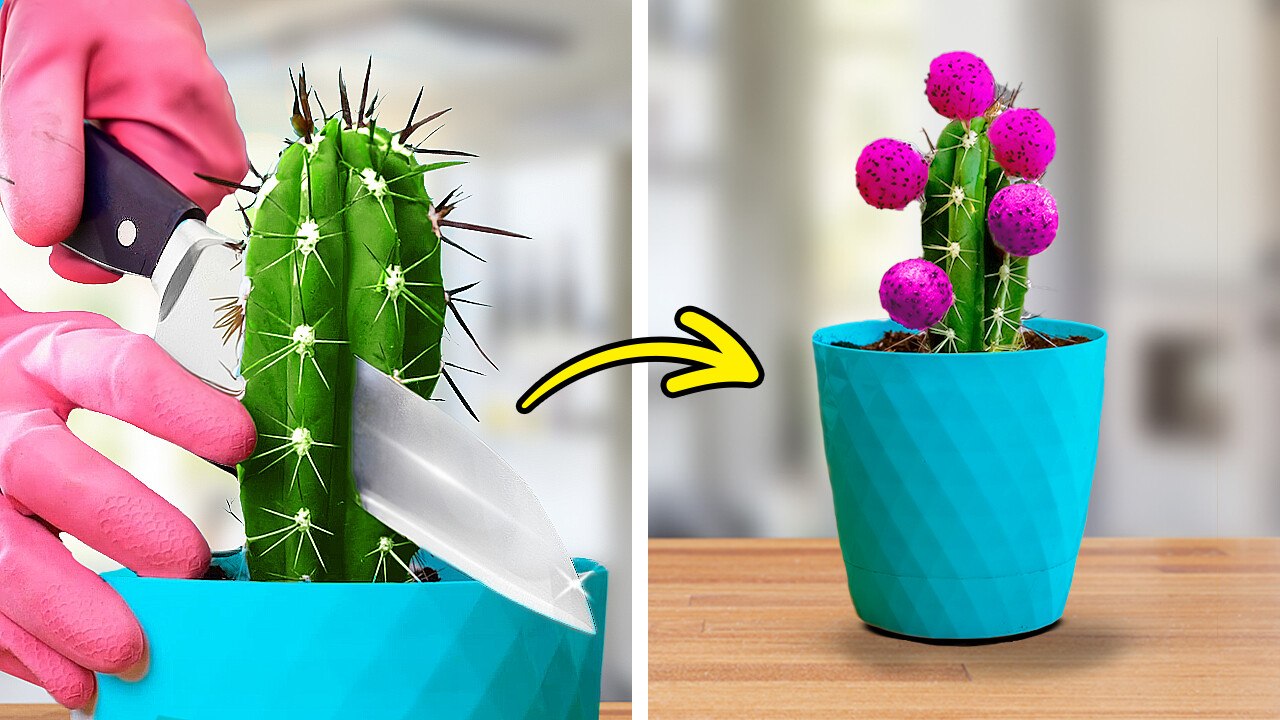 From Seed to Success: Genius 101 Gardening Hacks for Beginners!