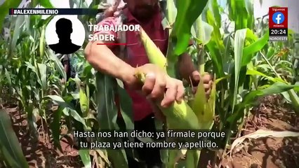 Trabajadores de la Secretaría de Agricultura denuncian presiones para renunciar
