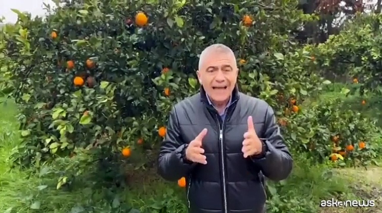 Pecoraro Scanio: formare giovani Ecodigital, da Sicilia parte sfida