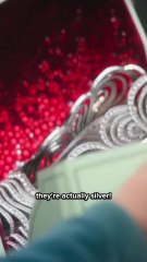 Why They Are Silver Slippers Explained