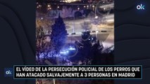 El vídeo de la persecución policial de los perros que han atacado salvajemente a 3 personas en Madrid