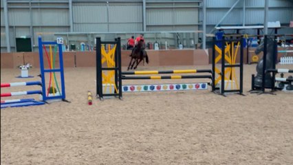 Man shares his PERFECT save while showjumping with ex-racehorse