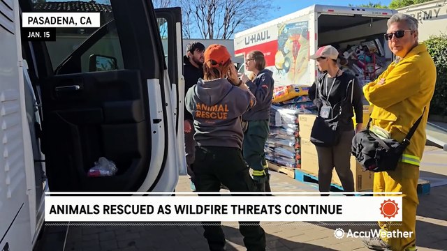 Pets rescued in midst of critical wildfire threat in California