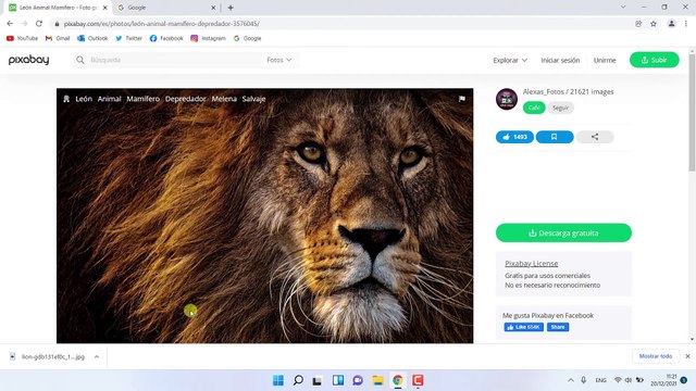 Como ver las Descargas de Google Chrome pc