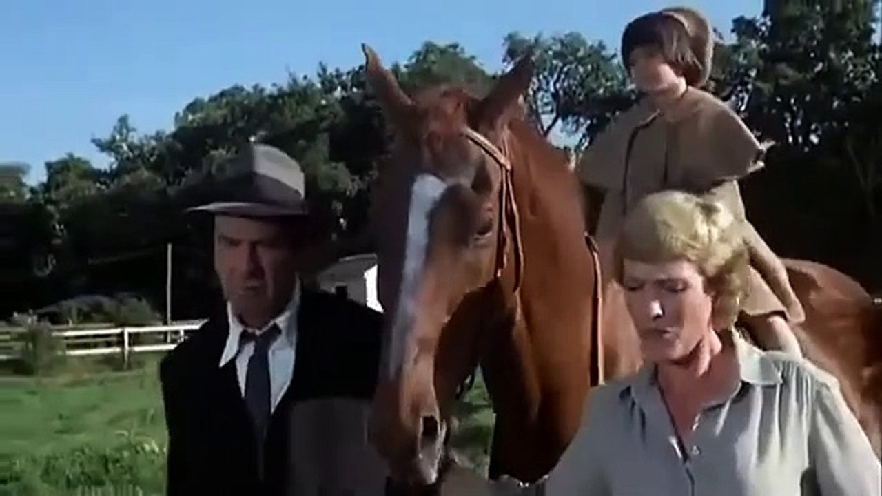 Ein reizender Fratz (1980)
