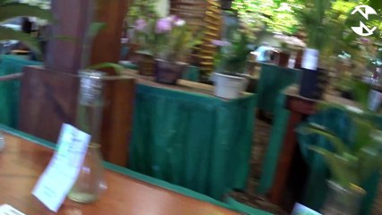 july 4th 2019 sunny jim cave sdc fair