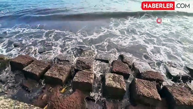 Tekirdağ Kıyılarında Kızıl Yosun İstilası