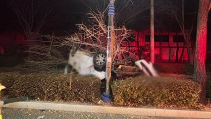 광양서 학원 차량이 가로수 들이받아...11명 다쳐 / YTN