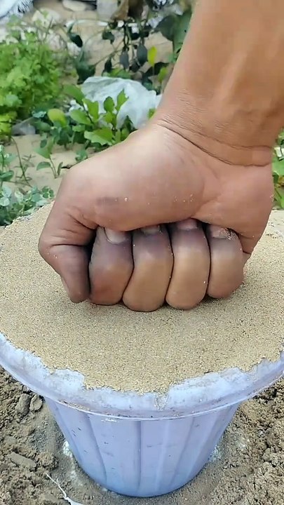 0pPjSET5