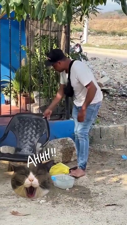 Funny 🤣🤣🤣🤣🤣🤣