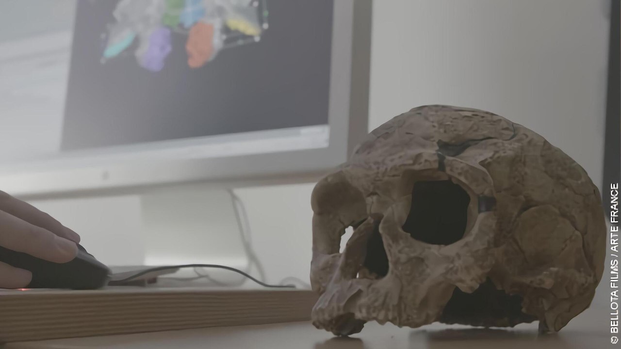 Homo sapiens les nouvelles origines