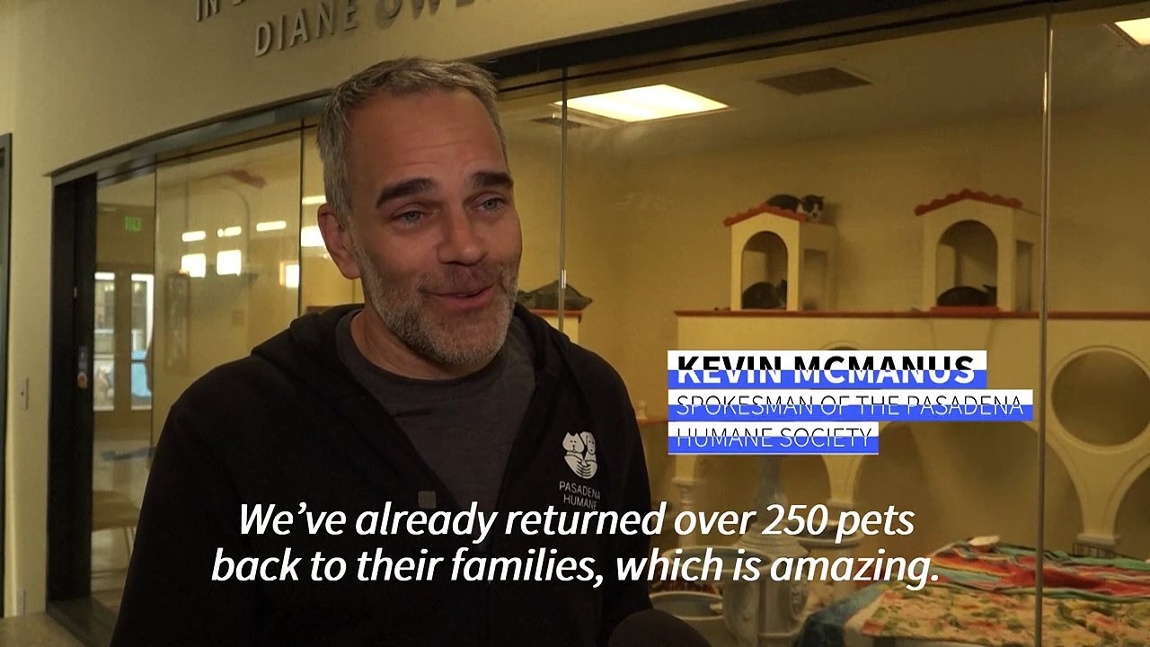 Pets and owners reunited after being separated in Los Angeles fires