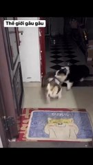 There are few chairs but many butts 😆