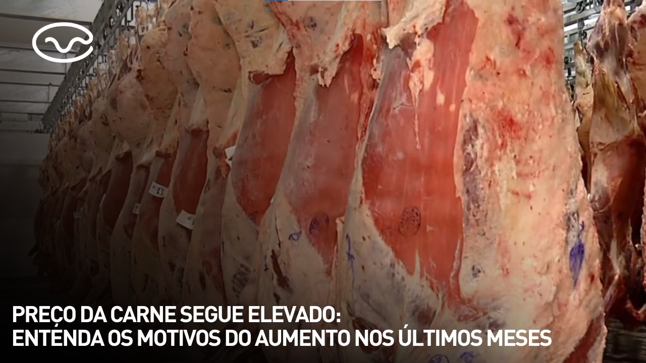 Preço da carne segue elevado: entenda os motivo...