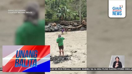 Aso, sumuong sa rumaragasang tubig sa ilog para sundan ang kaniyang fur parents | Unang Balita