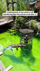 Hombre se vuelve viral al probar una atracción extrema con cocodrilos