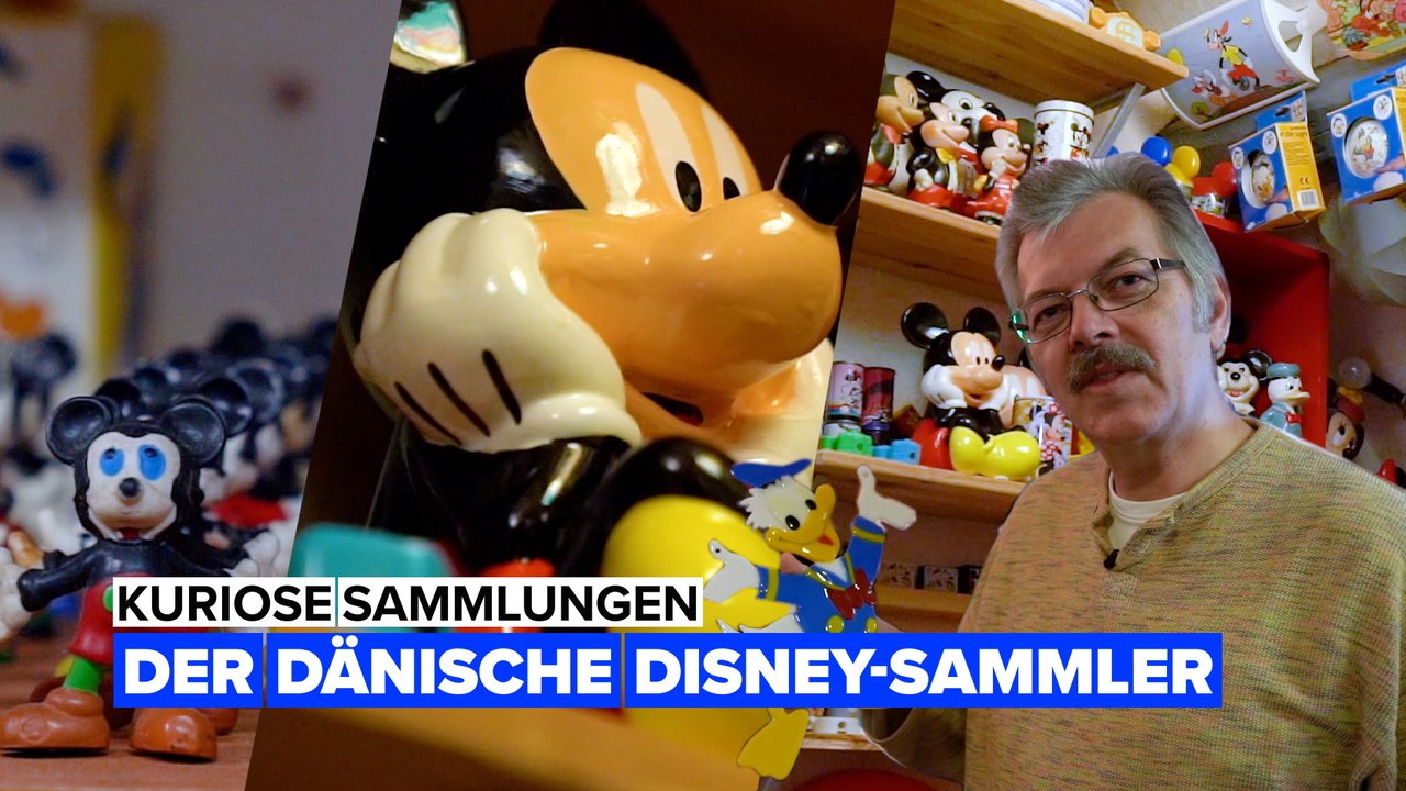 Du glaubst, du bist ein Disney-Fan? Hier ist eine 20.000 Teile umfassende Sammlung!