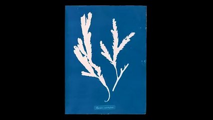 Ghost Protists | movie | 2024 | Official Trailer