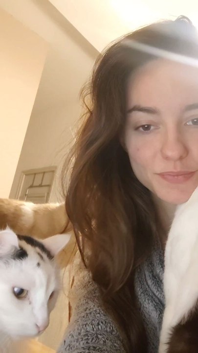 Bosser a la maison avec des chats 😮‍💨🥰 Accessibilité PC ? Zéro 🥲