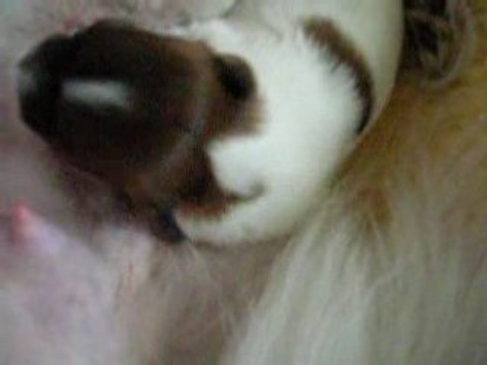 Bébé s'acharne sur une tétine et Angie ne bouge pas