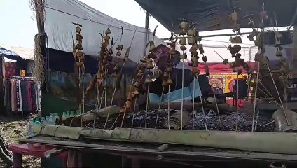 আজিৰে পৰা আৰাম্ভ হল ঐতিহাসিক জোনবিল মেলা ।