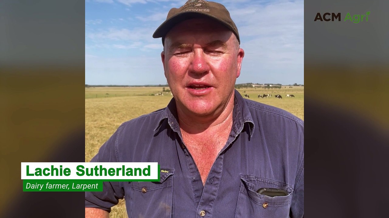 Managing risk key component to stay ahead in dry times, says Larpent farmer