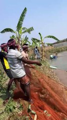 ,,,,,,,,,,,Men catching fishes,,,,,,,,,,