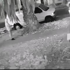 Person caught on video this morning at 6:37am lighting a palm tree on fire on Fuller near Melrose that took a van with it.