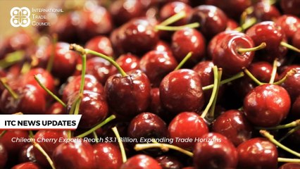 International Trade Council News Roundup ‑ 17th January 2025