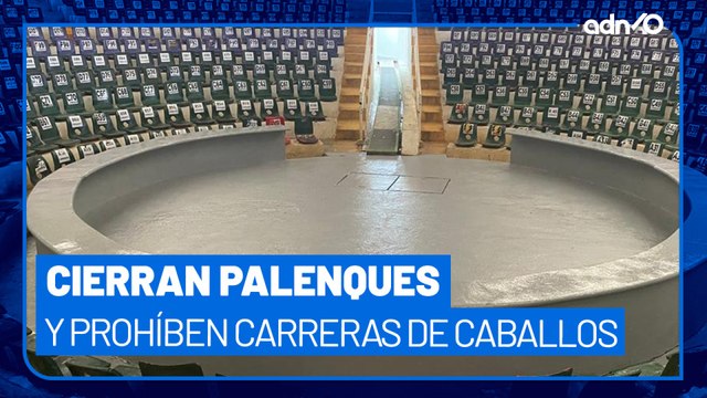 Prohíben peleas de gallos y carreras de caballos en Chiapas, dicen que es un punto de delincuencia