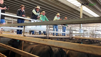 Rain boosts confidence as smaller calves make big money