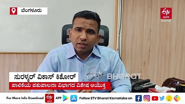 ನಗರದ 250 ಸ್ಥಳಗಳಲ್ಲಿ ಸಮುದಾಯ ಪ್ರಾಣಿಗಳ ಕುರಿತು ಜಾಗೃತಿ ಅಭಿಯಾನ : ಪಾಲಿಕೆ ವಿಶೇಷ ಆಯುಕ್ತ ಸುರಳ್ಕರ್ ವಿಕಾಸ್ ಕಿಶೋರ್