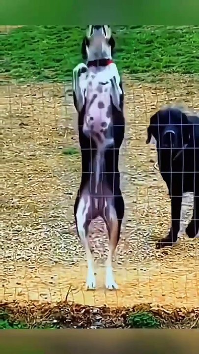 Oh, es ist fast Weihnachten und ich bin so glücklich.