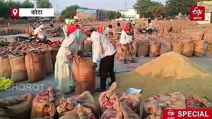 ईरान-इजरायल युद्ध का खामियाजा उठा रहे राजस्थान व एमपी के धान किसान, निर्यात ठप, लाखों का नुकसान