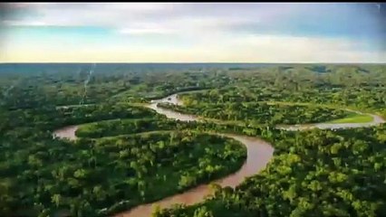 Bullet Ant Anaconda Amazon jungle book part 2