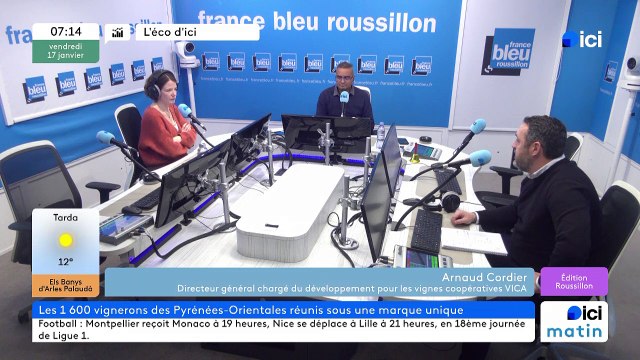 Les vignes du vent l'union et le marketing pour sauver des vignerons