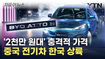 전기차 '2천만 원대' 초강수...바야디, 한국 시장 접수할까 [지금이뉴스] / YTN