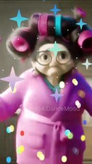 Dance | Ai Dance | Ai Animal Dance | Animal Dance