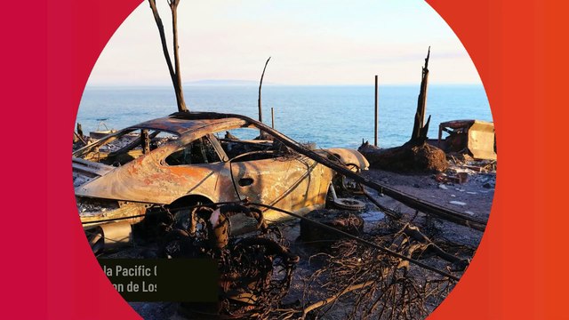 Bruce Willis, atteint de démence fronto-temporale, fait une rare apparition à Los Angeles pour exprimer son soutien