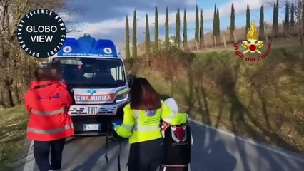 Tree Crashes Down on School Bus with Children Aboard