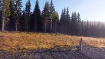 Ringebu stavkirke #norway Eglise en bois debout de Ringebu #norvege