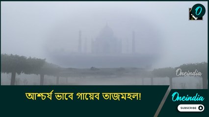 Taj Mahal: আশ্চর্য ভাবে গায়েব তাজমহল! দেখতে এসে হতবাক পর্যটকরা