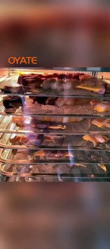 220v 1000w Carbon Fiber Ir Heat Lamp Infrared Heating Lamp For Ovens