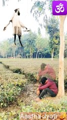 माता लक्ष्मी का आशीर्वाद | Mata Laxmi | aastha jyoti #shorts #aasthajyoti