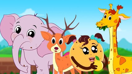 Zoo Song, Going To The Jungle and Nursery Rhymes for Kids