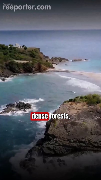 Animal attack on humans part 6