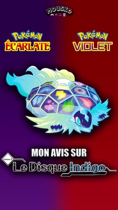 Mon avis sur le Disque Indigo !